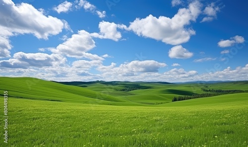 Tranquil beauty of springtime nature in peaceful countryside landscape. Green grass  blue sky  white clouds  rolling hills