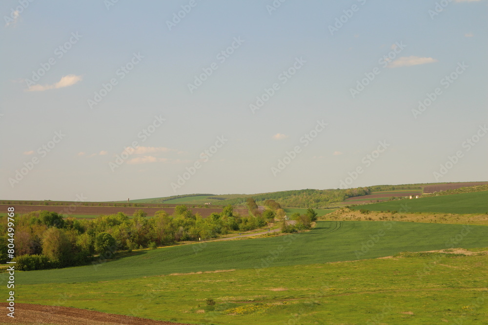 A green field with trees A green field with trees
