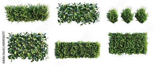Row of hedges PNG transparent background
