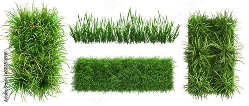 Compilation of lawns PNG transparent background