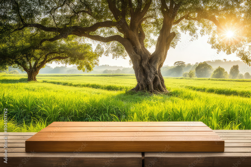 Tree Table wood Podium in farm display for food, perfume, and other products on nature background, Table in farm with orange tree and grass, Sunlight at morning Tree Table wood Podium in farm display for food, perfume, and other products on nature background, Table in farm with orange tree and grass, Sunlight at morning