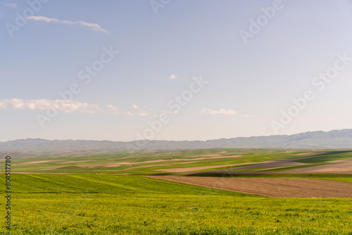 A large  open field with a clear blue sky. The sky is dotted with clouds  and the sun is shining brightly. The field is lush and green  with a few trees scattered throughout. The scene is peaceful