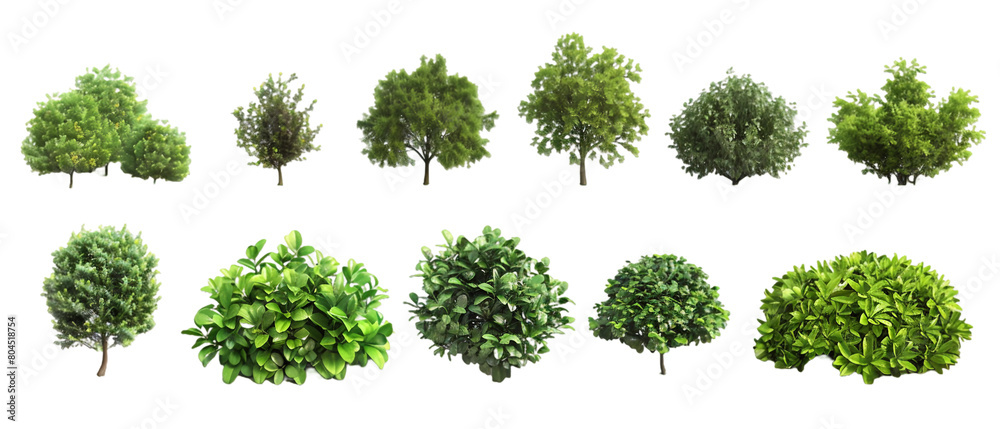 Set of bushes PNG transparent background Set of bushes PNG transparent background
