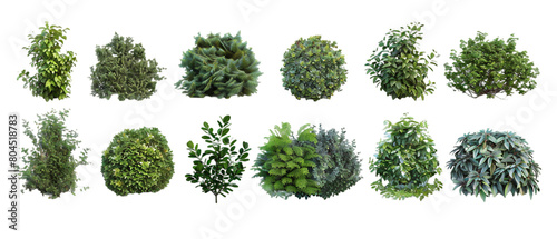 Set of green bushes isolated PNG transparent background