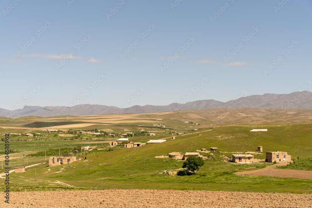 Fototapeta premium A rural landscape with a few houses and a tree. The sky is blue and there are no clouds