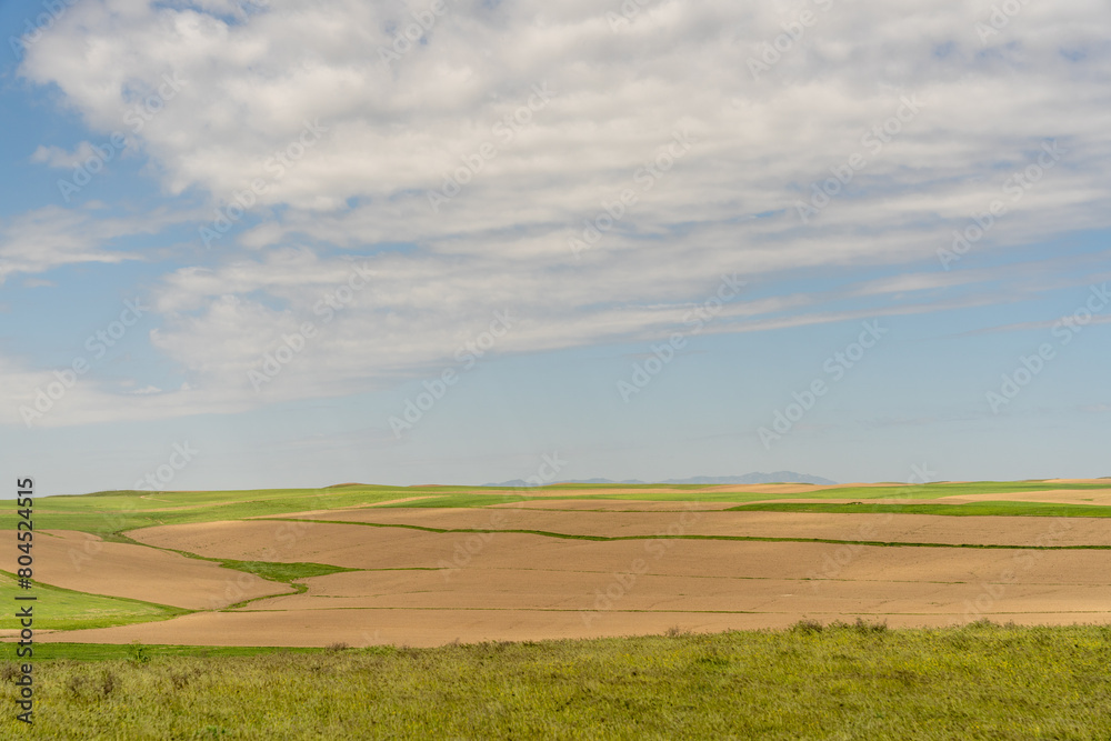 A field of grass with a cloudy sky in the background. The sky is mostly blue with some clouds scattered throughout. The field is mostly green with some brown patches, giving it a somewhat dry
