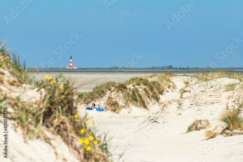 Coastal landscape in northern Germany with sand dunes and lighthouse in the background - 7981