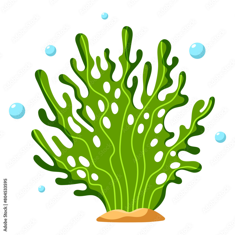 Ocean and sea plant, underwater flora, seaweed, marine life. Aquatic plant, algae, tropical seabed vector element.