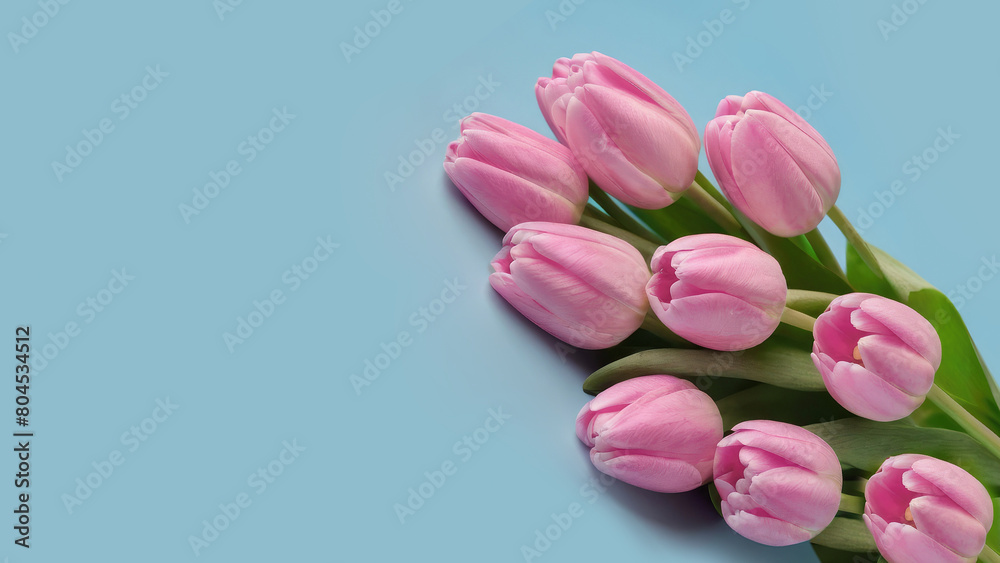 Bouquet of pink tulips on pastel blue background. Valentine, Mother's day, women's day and wedding concept floral composition Bouquet of pink tulips on pastel blue background. Valentine, Mother's day, women's day and wedding concept floral composition