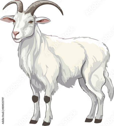 cartoon goat clip art or sheep animal