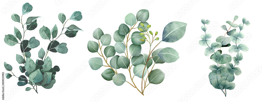 Watercolor illustration of a eucalyptus bouquet, showcasing hand-painted sage green branches Watercolor illustration of a eucalyptus bouquet, showcasing hand-painted sage green branches