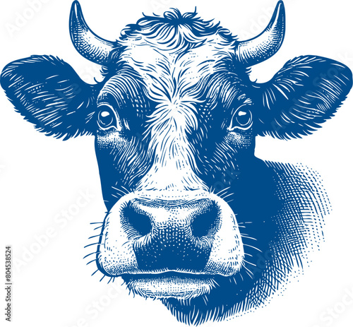 Cow Vector illustration, Hand drawn sketch livestock vector illustration