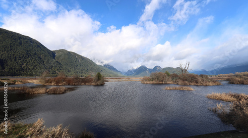 Cold and windy day at the autumn marshes