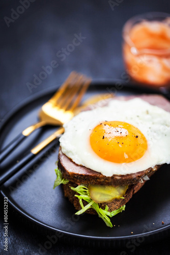Gourmet sandwich with roasted pork (ham), pickled cucumber, lettuce, sauce, artisan bread and fried egg