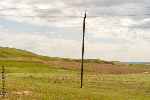 A tall wooden pole stands in a field of grass. The sky is cloudy and the field is empty