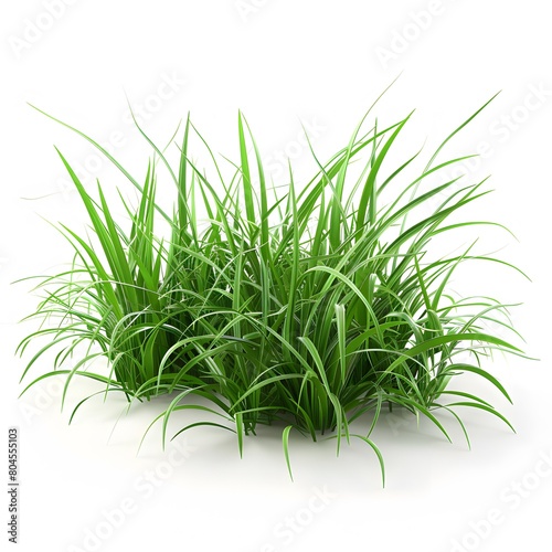 versatility of grass as a design element with an image of lush green turf isolated on a white background, perfect for various graphic applications.