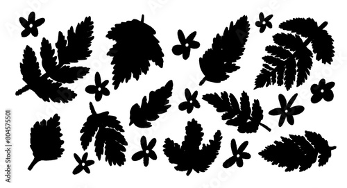 Silhouette leaf branch decoration elements set. Doodle design elements collection. Vector botanical flowers.