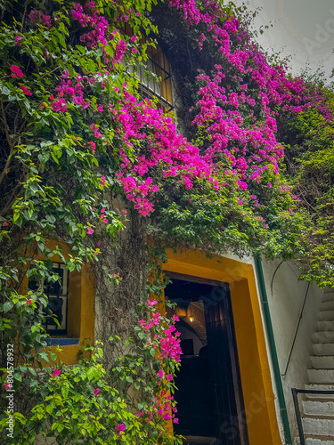 maison garni de fleurs dans la ville de Séville, Andalousie, Espagne photo