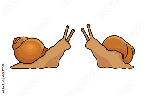 Cute brown snail icon set vector isolated on a white background. Two snails vector illustration. A couple of snails cartoon character