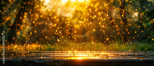 Golden Bokeh Light Perfect for Magical Holiday Themes, Abstract Glittering Background