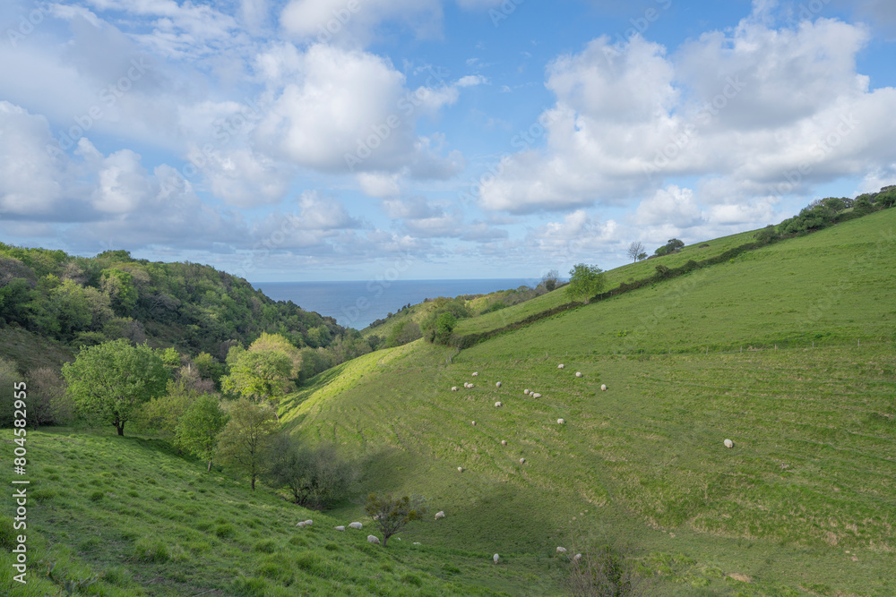 Rural landscape in northern Spain.