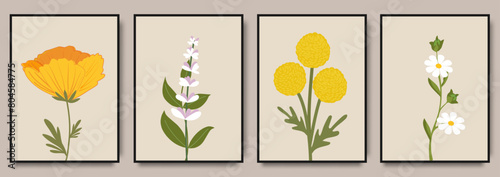 Abstract boho style botanical  art print posters. Contemporary Floral Design. Creative art templates for wall decoration, interior, poster, greeting card, invitation, flyer, banner, brochure