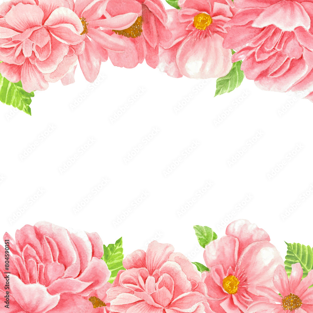 A watercolor pink peonies and camellias frame on a white background with pastel colors in the style of clipart with.