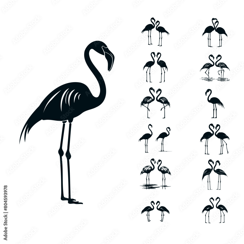 Obraz premium Elegant Avian Ascendance: Exploring the Flamingo Vector Bundle