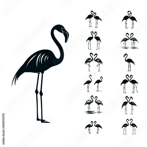 Elegant Avian Ascendance  Exploring the Flamingo Vector Bundle