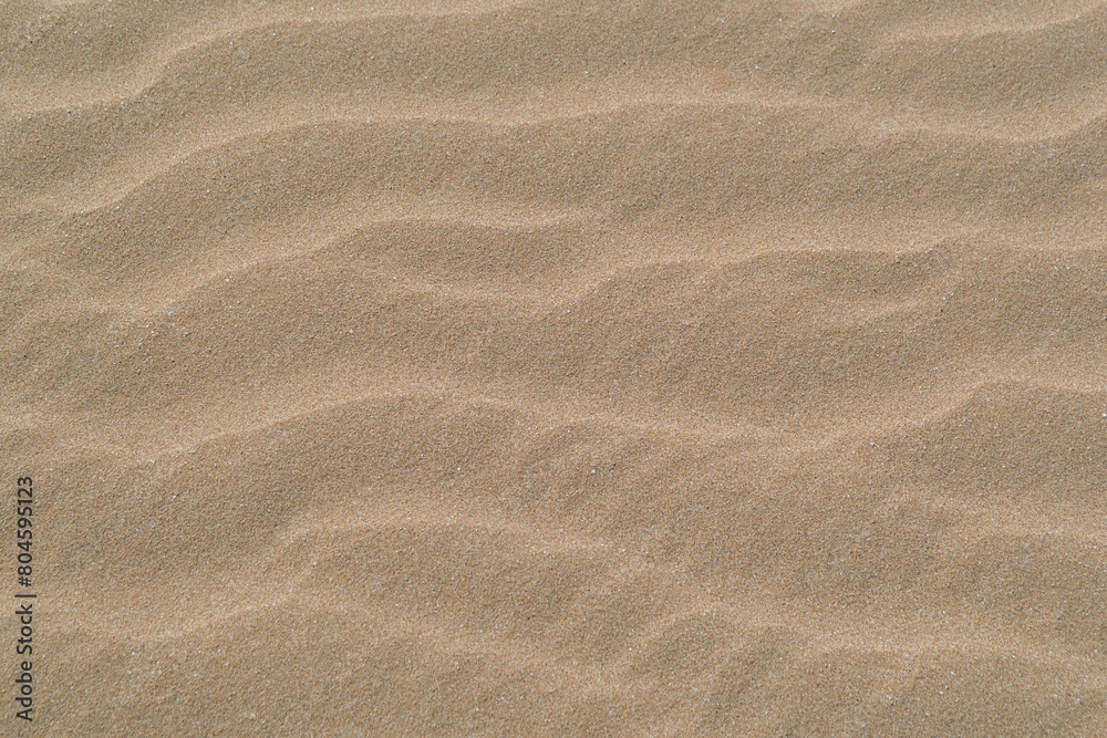 sand texture background. fine sand beach under summer sunlight sand texture background. fine sand beach under summer sunlight