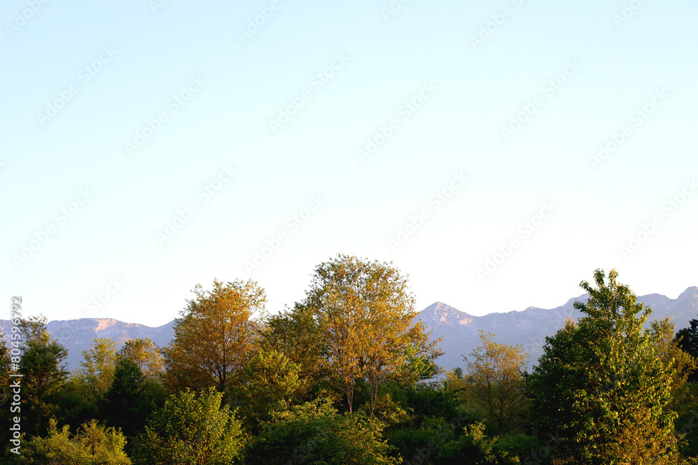 Fototapeta premium Mountain forest, illuminated by warm sunlight.