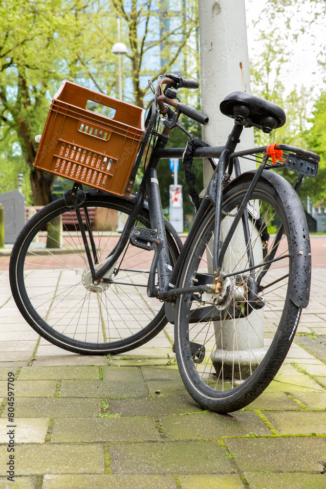 Black bicycle leaning against a pole near a park in Amsterdam, Netherlands.