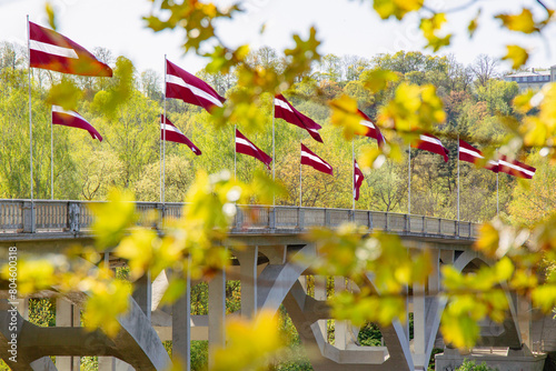 Latvian flags in a sunny day in May shortly before national independence day celebration at the Gauja bridge in Sigulda