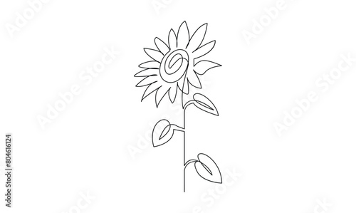 Vector continuous one simple single abstract line drawing of sun flower isolated on white background