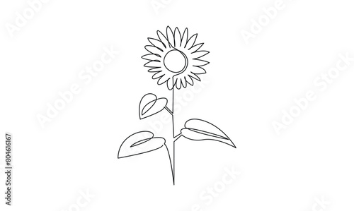 Vector continuous one simple single abstract line drawing of sun flower isolated on white background