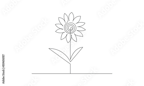 Vector continuous one simple single abstract line drawing of sun flower isolated on white background
