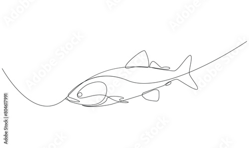 Vector continuous one simple single abstract line drawing of Fish isolated on white background