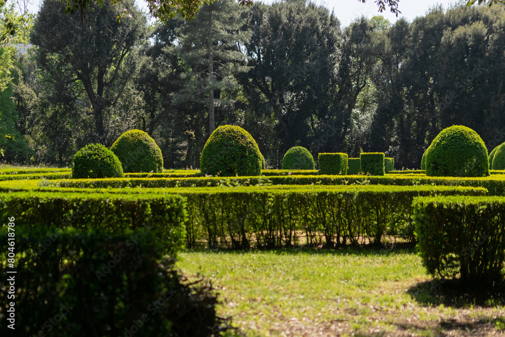 The rural park showcases meticulously groomed trees and shrubs, the landscape design bathed in sunlight, surrounded by a verdant park