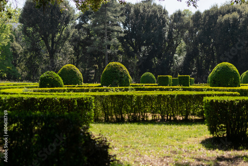 The countryside park features intricately trimmed trees and bushes, the landscape design, sunny day, with a lush green park