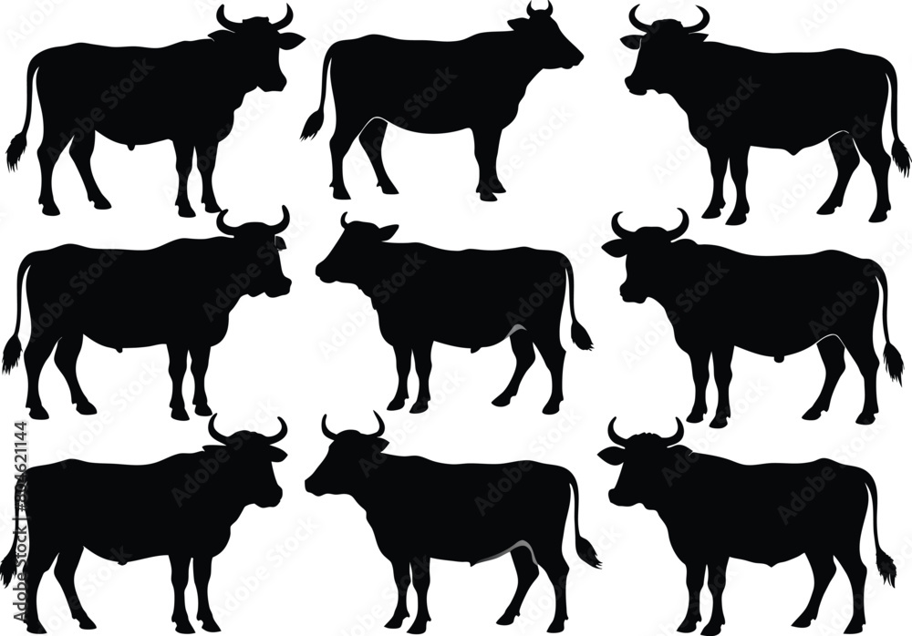 Set of Cow black Silhouette Design. Set of Cow black Silhouette Design.