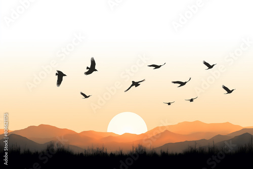 Silhouettes of birds flying home against the backdrop of a stunning sunset  isolated on solid white background.