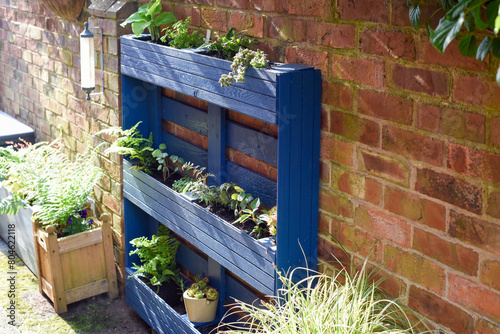 Recycled wooden pallet has been turned into a planter for the garden in an eco friendly upcycling project