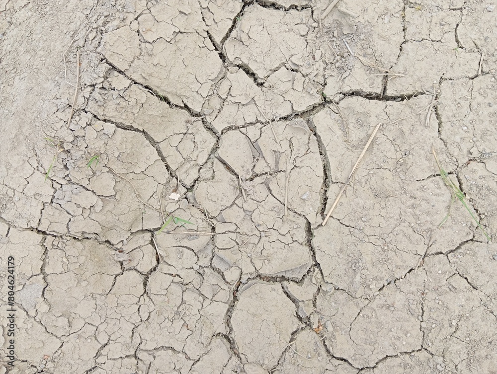 Obraz premium cracked, dry soil