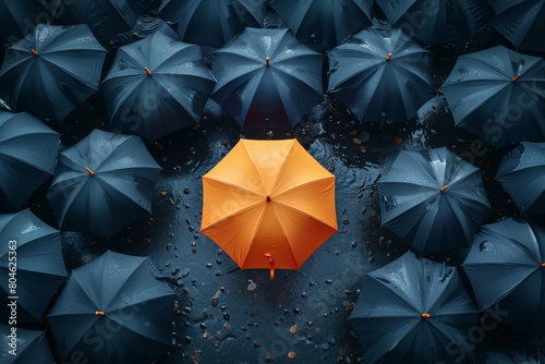 A solitary orange umbrella stands out against a sea of blue umbrellas, showcasing uniqueness and nonconformity photo