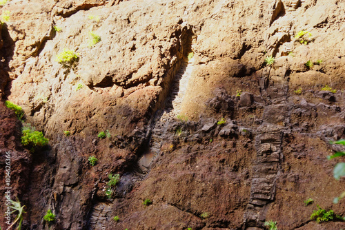 Masca Gorge is a narrow valley in the north-west of the island of Tenerife.