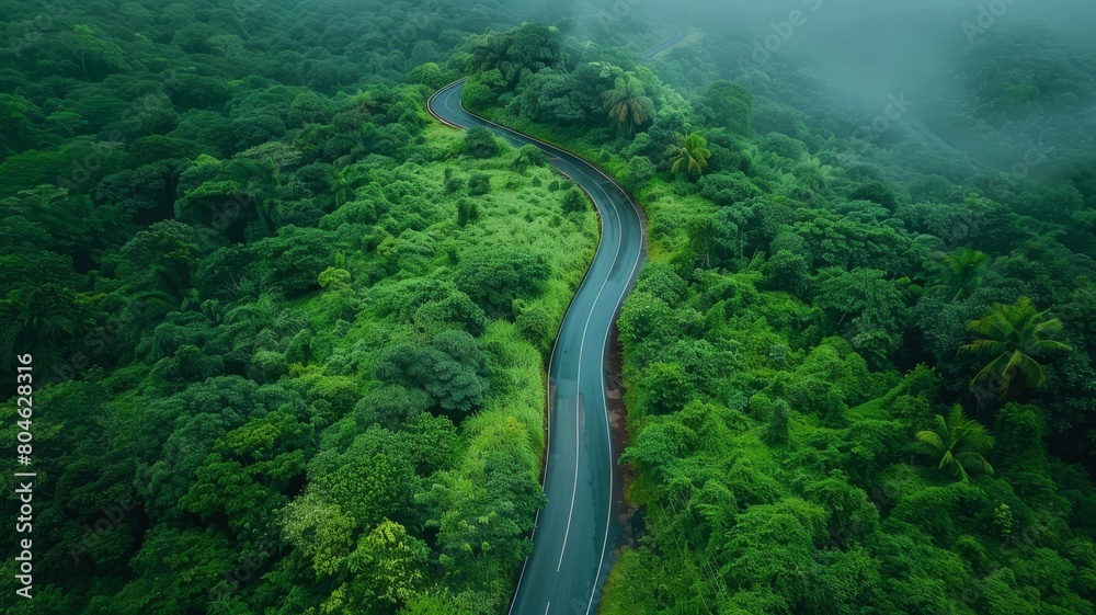 Aerial photo top view beautiful curve road on lush green forest. Aerial photo top view beautiful curve road on lush green forest.