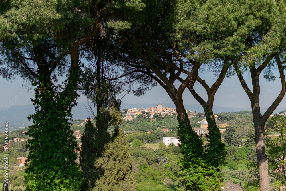 Stunning panoramic landscape - view through the trunks of tall trees to a distant stone Italian village on the hills