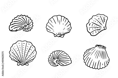 Seashell hand drawn illustrations in various shapes and sizes. Set of shells isolated on white background.
Ideal for design elements in nautical themes, marine and beach decor. 