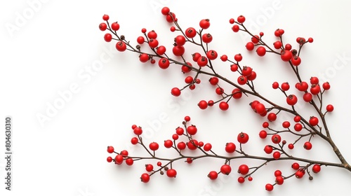 red berries branch on white background, Generative Ai