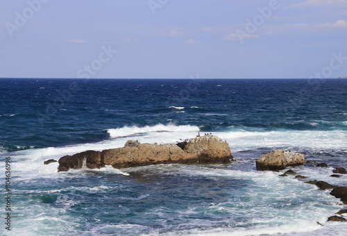Obraz na plátně The rocks within the choppy sea.